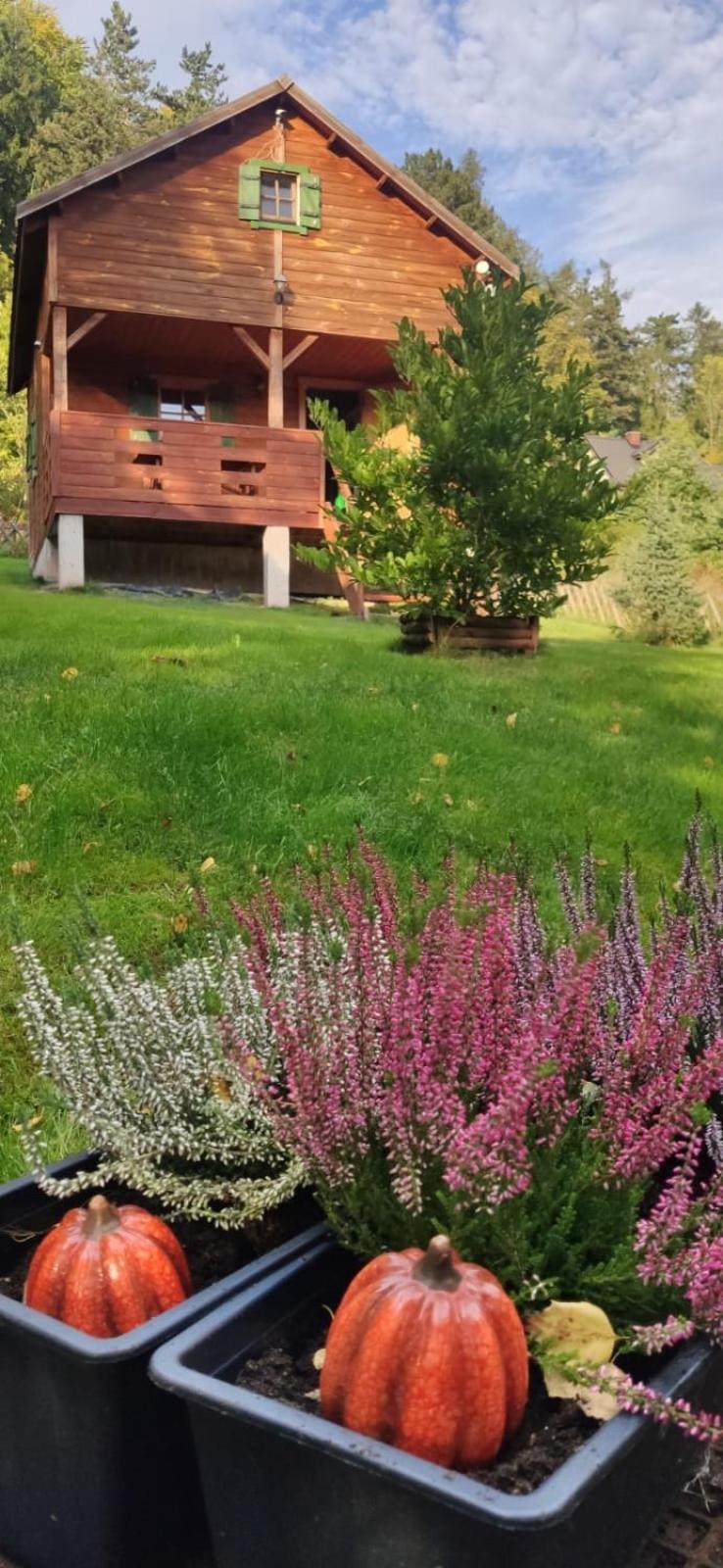 Kolonia Lesna Z Sauna Chalet *