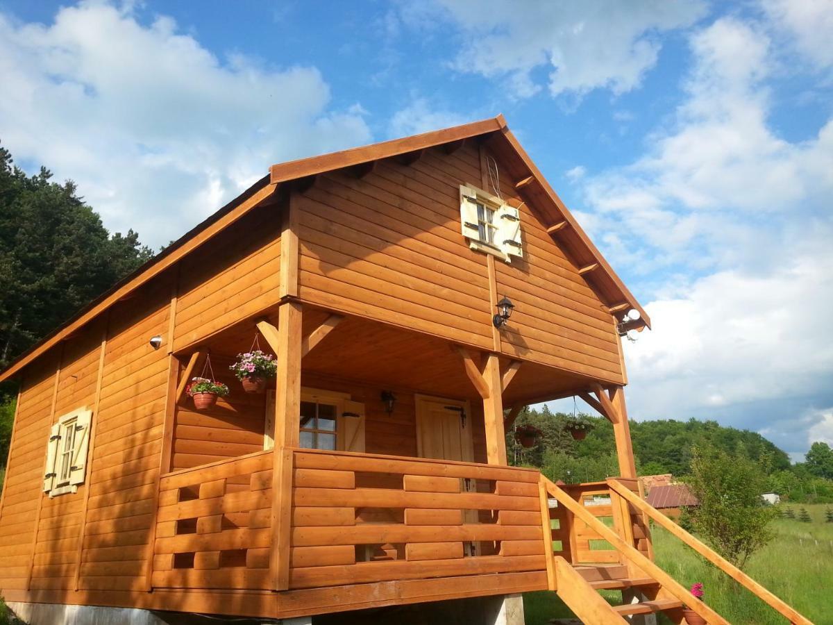 Kolonia Lesna Z Sauna * Radkow
